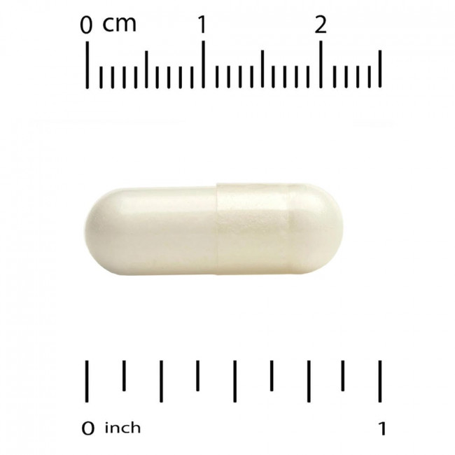 California Gold Nutrition, OEA олеоилэтаноламид, 125 мг, 120 вегетарианских капсул