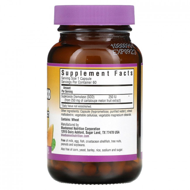 Bluebonnet Nutrition, Super Fruit, Vegetarian SOD, экстракт плодов канталупы, 250 МЕ, 60 растительных капсул