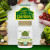 NaturesPlus, Source of Life, Garden, витамин D3, 60 веганских капсул NaturesPlus, Source of Life, Garden, витамин D3, 60 веганских капсул