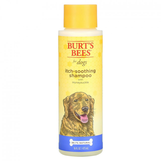 Burt's Bees, Успокаивающий зуд шампунь для собак с жимолостью, 16 жидких унций (473 мл)