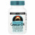 Source Naturals, Ginkgo-24, гинкго билоба,120 мг, 120 таблеток