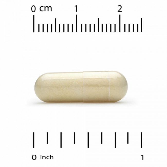 California Gold Nutrition, Oligopin, экстракт коры французской приморской сосны, 100 мг, 60 растительных капсул