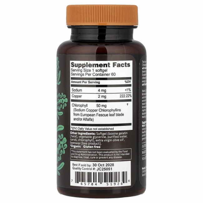 Herbs Etc., ChlorOxygen, концентрат хлорофилла, 60 быстродействующих мягких капсул