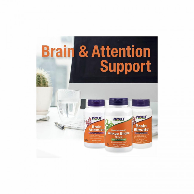 NOW Foods, Гинкго билоба, 60 мг, 120 растительных капсул NOW Foods, Гинкго билоба, 60 мг, 120 растительных капсул