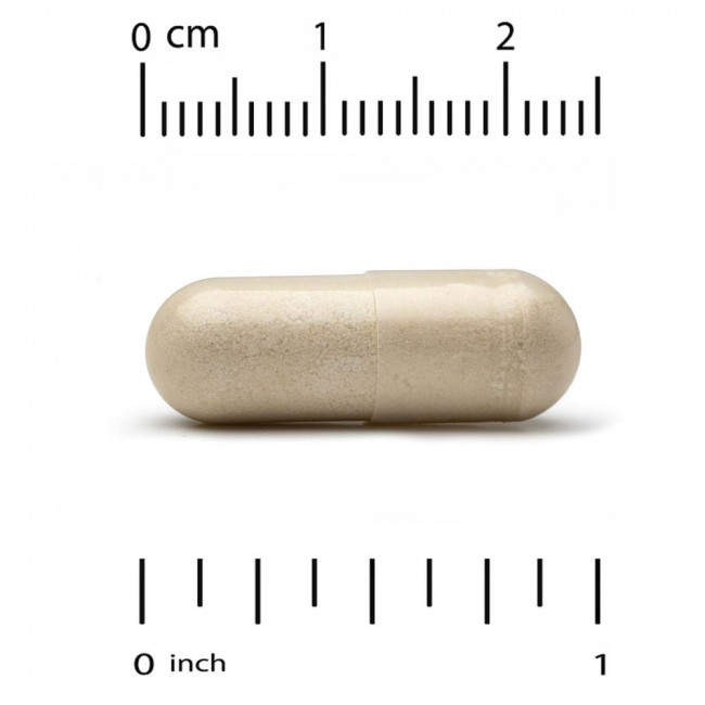 California Gold Nutrition, Children's Epicor, 125 мг, 120 растительных капсул California Gold Nutrition, Children's Epicor, 125 мг, 120 растительных капсул