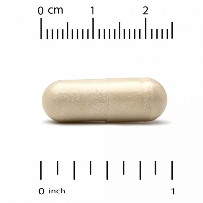California Gold Nutrition, рейши (Ganoderma lucidum), полный спектр, сертифицированный органический продукт, поддержка на клеточном уровне, 90 растительных капсул California Gold Nutrition, рейши (Ganoderma lucidum), полный спектр, сертифицированный органический продукт, поддержка на клеточном уровне, 90 растительных капсул