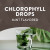 Nature's Way, Chlorofresh, капли с хлорофиллом, мята, 59 мл (2 жидк. Унции) Nature's Way, Chlorofresh, капли с хлорофиллом, мята, 59 мл (2 жидк. Унции)