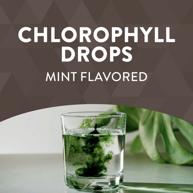 Nature's Way, Chlorofresh, капли с хлорофиллом, мята, 59 мл (2 жидк. Унции) Nature's Way, Chlorofresh, капли с хлорофиллом, мята, 59 мл (2 жидк. Унции)