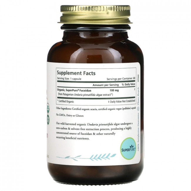 Pure Synergy, SuperPure Fucoidan, 60 капсул