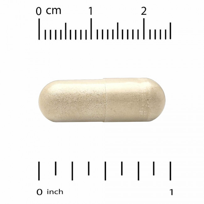 California Gold Nutrition, EuroHerbs, экстракт листьев оливкового дерева, европейское качество, 500 мг, 60 растительных капсул California Gold Nutrition, EuroHerbs, экстракт листьев оливкового дерева, европейское качество, 500 мг, 60 растительных капсул