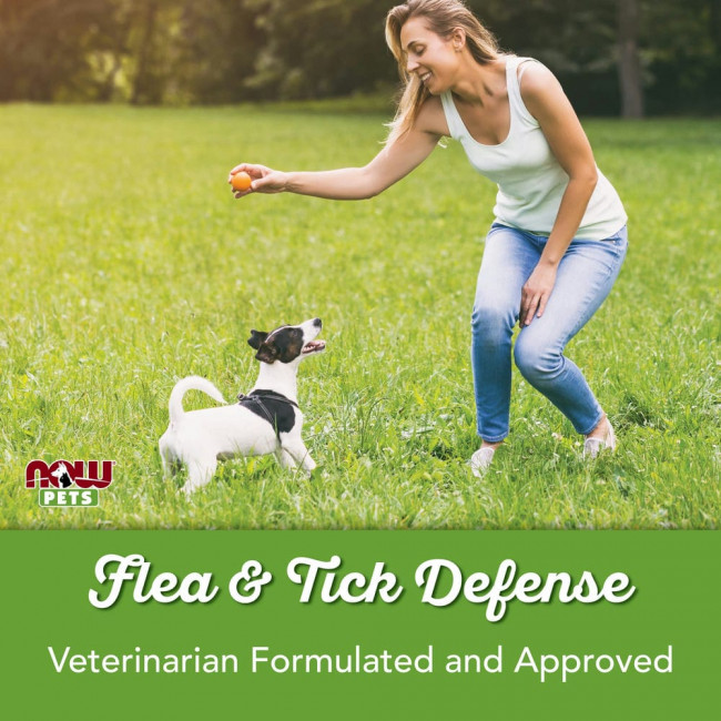 NOW Foods, Pets, спрей от блох и клещей для собак, 237 мл (8 жидк. унций) NOW Foods, Pets, спрей от блох и клещей для собак, 237 мл (8 жидк. унций)
