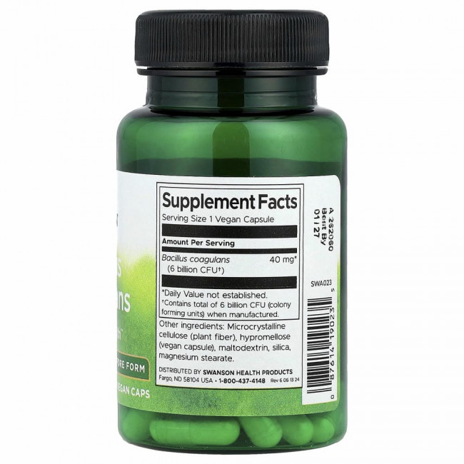 Swanson, Bacillus Coagulans, 6 млрд КОЕ, 60 растительных капсул