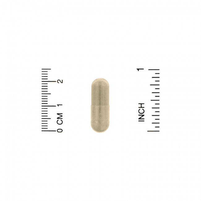 Organix South, TheraNeem Naturals, Лист ниима, 120 вегетарианских капсул Organix South, TheraNeem Naturals, Лист ниима, 120 вегетарианских капсул