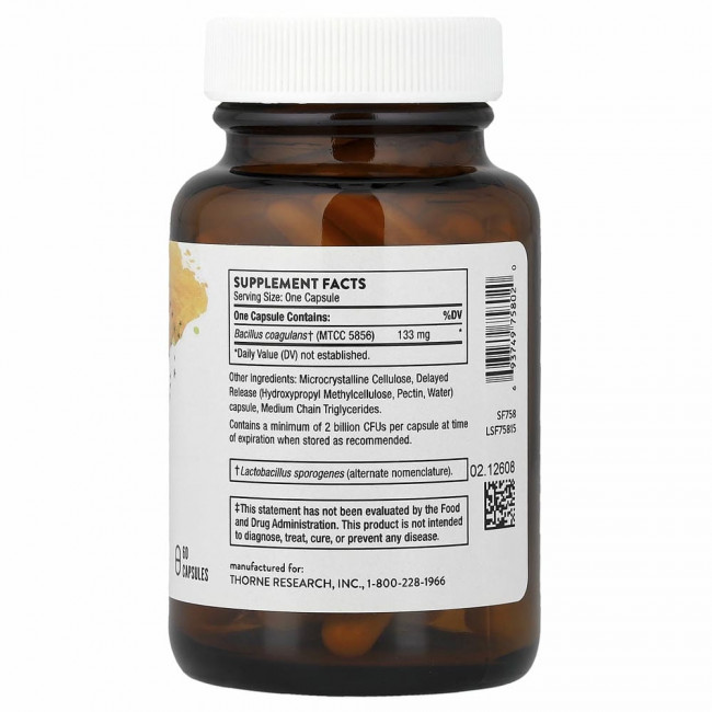 Thorne Research, Пробиотик Bacillus Coagulans, 60 вегетарианских капсул Thorne Research, Пробиотик Bacillus Coagulans, 60 вегетарианских капсул